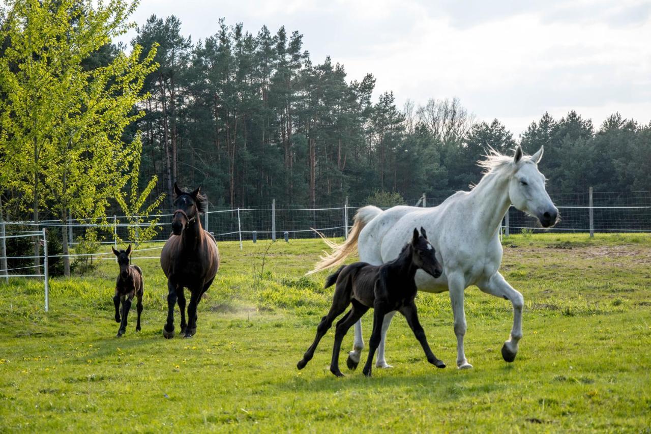Modern Rancho - Apartamenty Nad Rzeka, Przy Stadninie Koni Kruszyna  Экстерьер фото